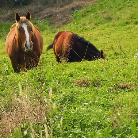 La Cuadrina De Vallanu Rodeada De Naturaleza En A 3 Kilometros De Playas * Llanes